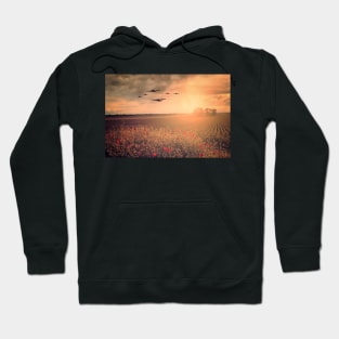 Warbird Poppy Pass Hoodie